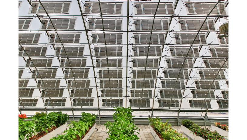 เกษตรกรรม