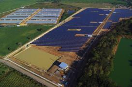 Solar Farm