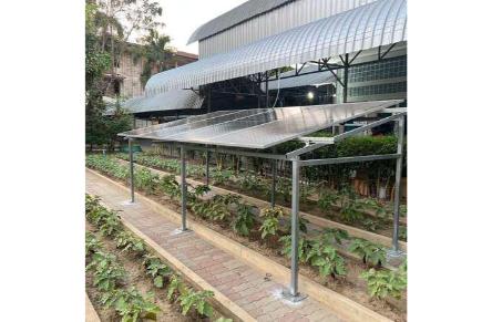 Solar Agriculture
