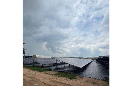Solar Agriculture